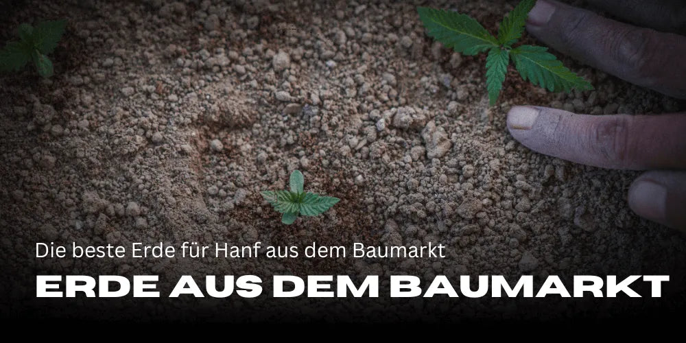 The best soil for hemp from the hardware store