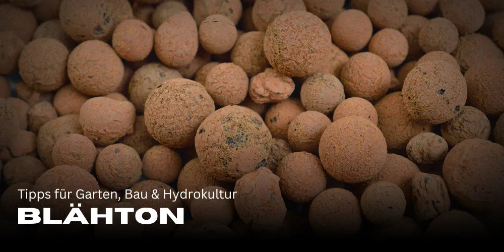 How to Use Expanded Clay Properly: Tips for Gardening, Construction & Hydroponics