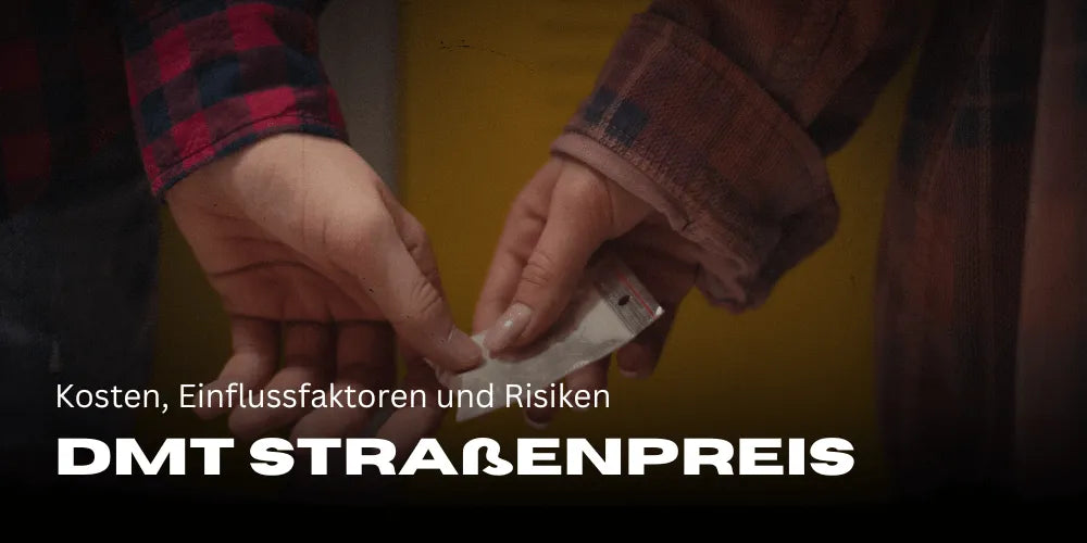 Preço de rua do DMT: custos, fatores que influenciam e riscos