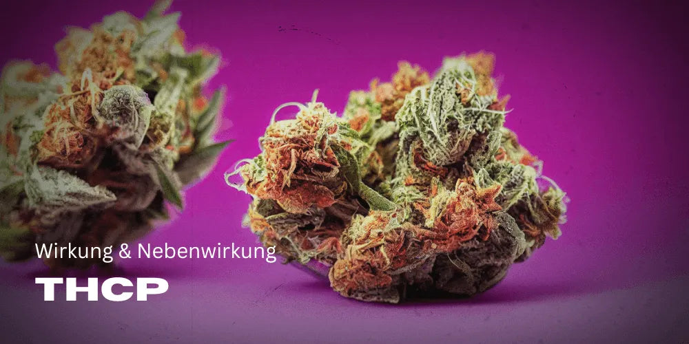 Efectul THCP