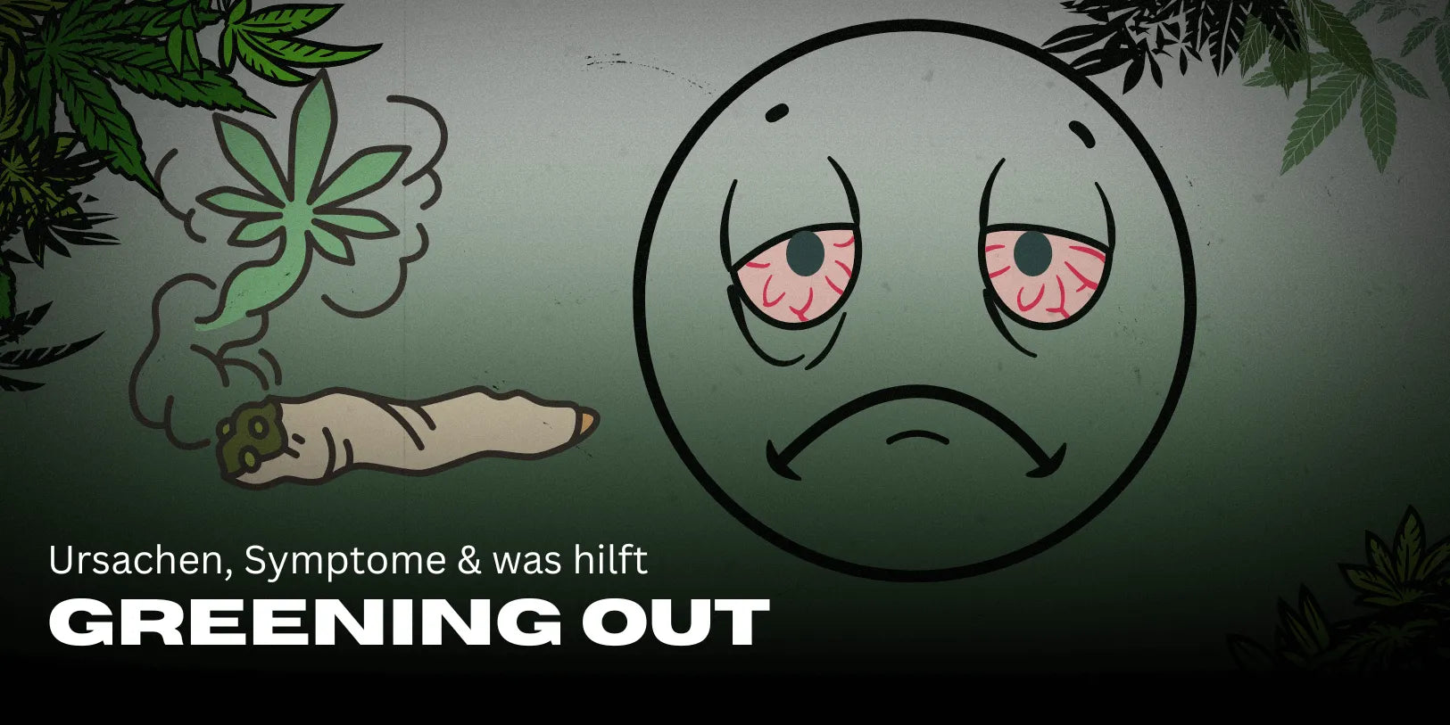 Greening Out: Causes, Symptoms & What Helps 🚀-Smagro GmbH