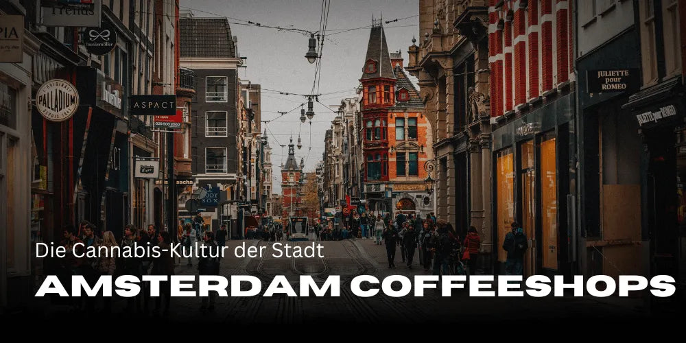 Amsterdam Coffeeshops: de cannabis-cultuur van de stad