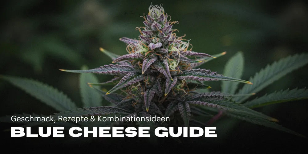 Blue Cheese Gids: Smaak, Recepten & Combinatie-ideeën-Smagro GmbH
