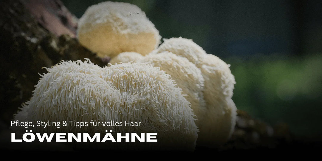 Lwia grzywa – Pielęgnacja, stylizacja i wskazówki dla pełnych włosów