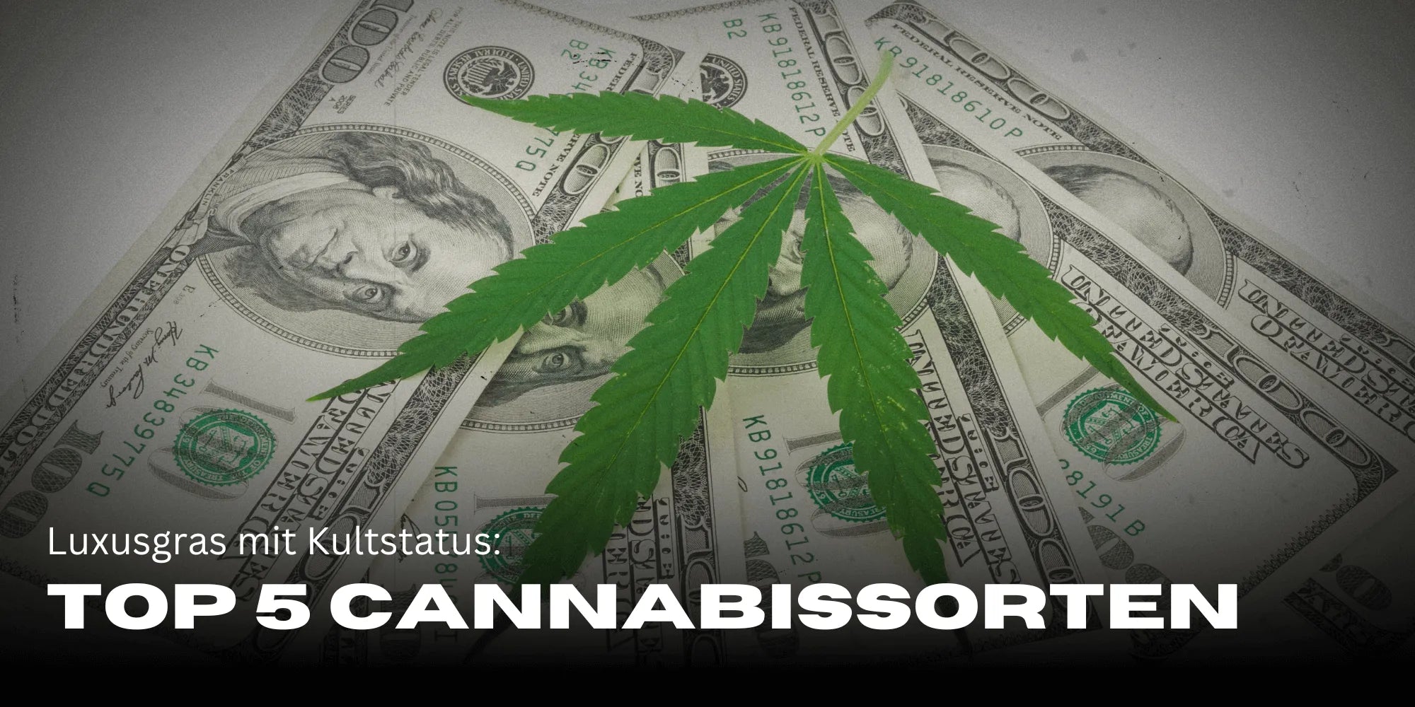 The most expensive cannabis strains