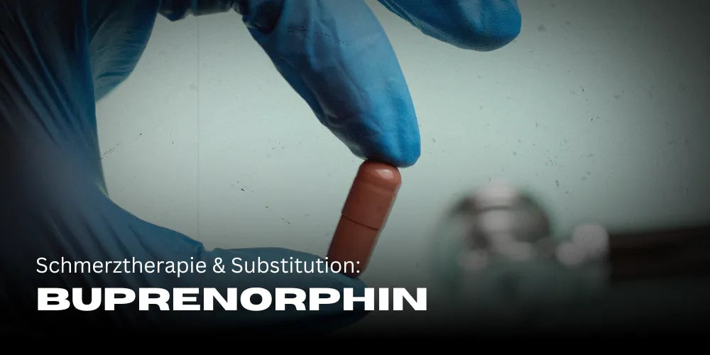 Buprenorphine: Pain therapy & substitution