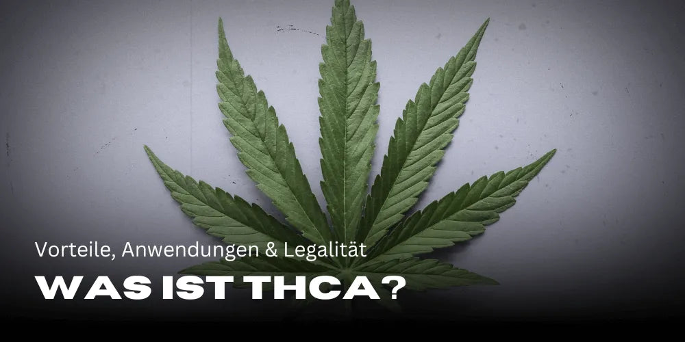 ¿Qué es THCA? – Ventajas, aplicaciones y legalidad