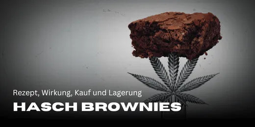 Hash brownies: recept, werking, kopen en bewaren 