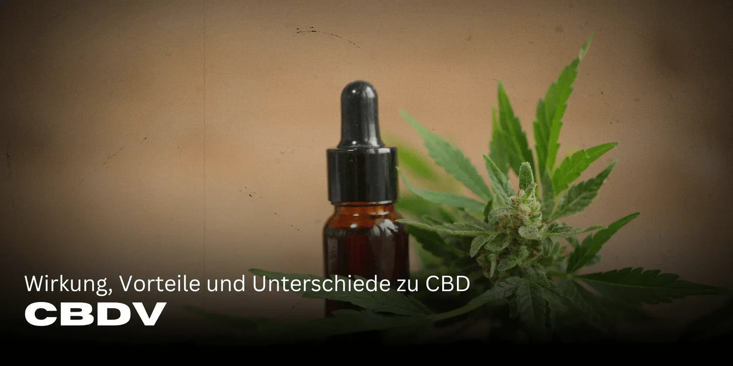 CBDV: Efectos, ventajas y diferencias con el CBD 🌿-Smagro GmbH