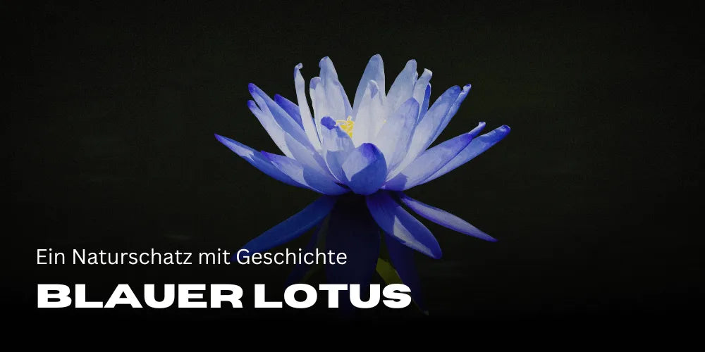 de magie van de Blauwe Lotus