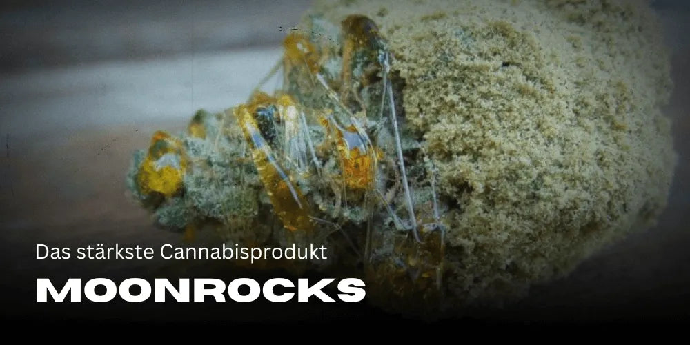 Moonrocks: najsilniejszy produkt konopny