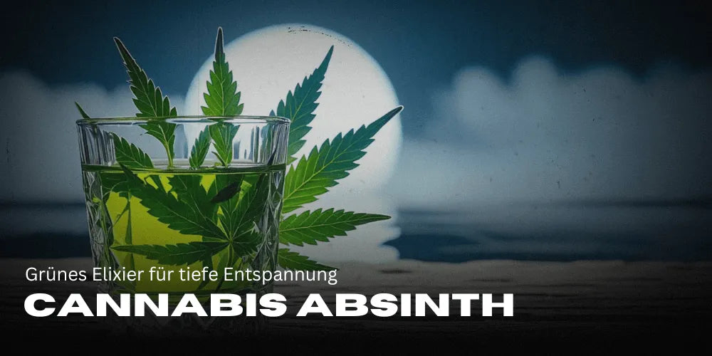 Canabis Absinth: Elixir verde pentru relaxare profundă