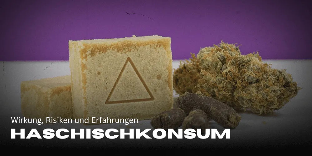 Hashish Consumption: Effects, Risks, and Experiences