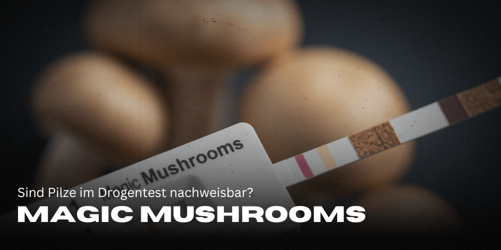 A gombák kimutathatók a Drogteszten?