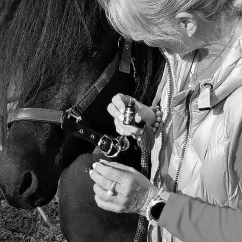 Óleo de CBD para cavalos