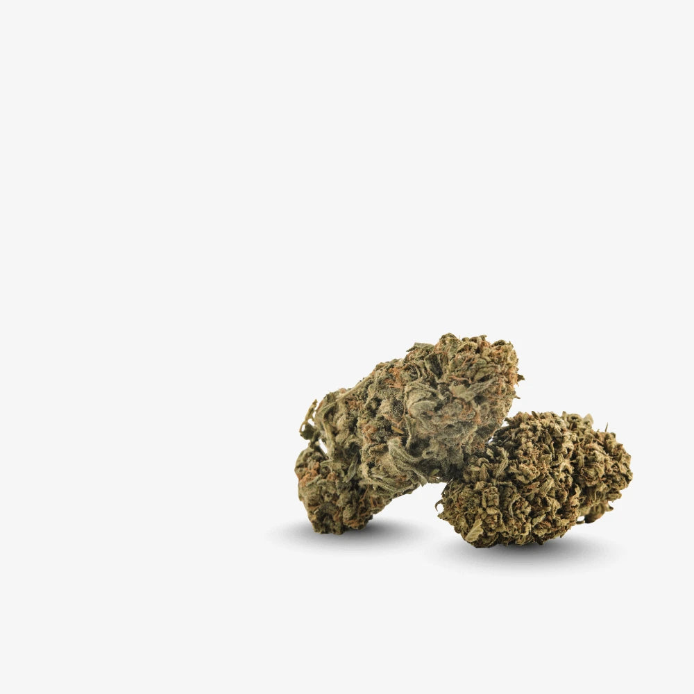 Flori CBD - Smagro GmbH