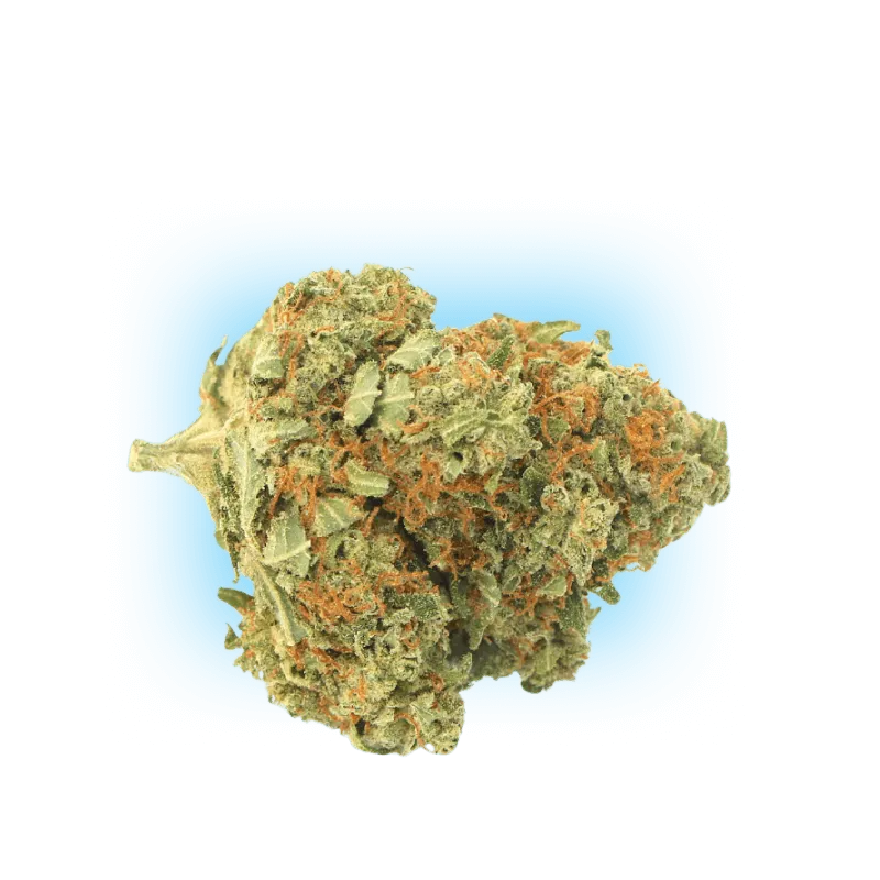 10-O El Chapo 1g 10%