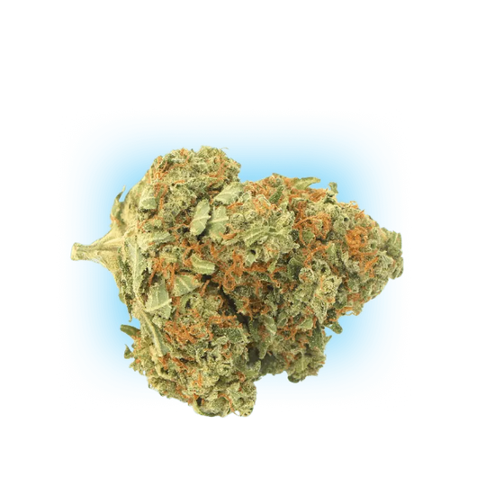 10-O El Chapo 1g 10%