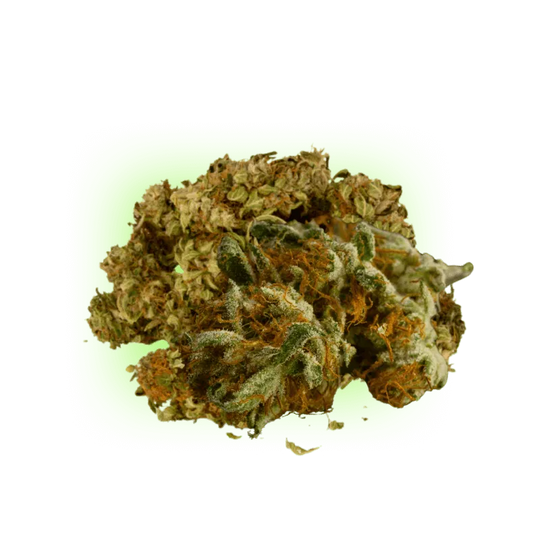 10-O Mimosa Punch 1g 10%