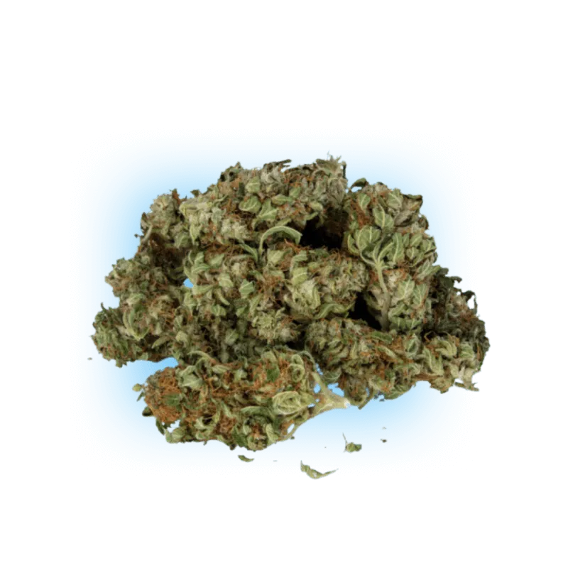 10-O Mr. Nice Guy 1g 10%