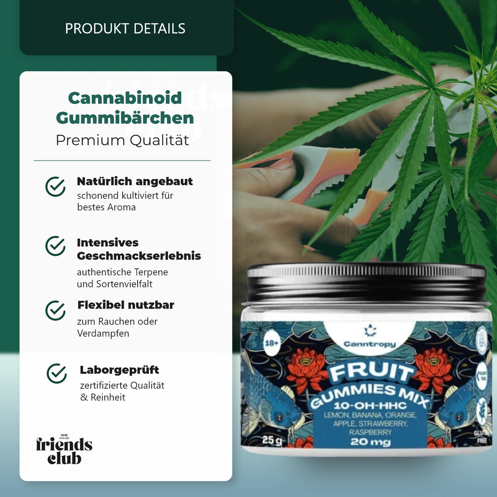 10-OH Gummies Mix fructat 10 bucăți