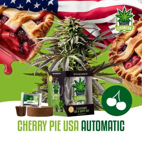 Set complet pentru cultivare: Cherry Pie USA (iGrowCan)