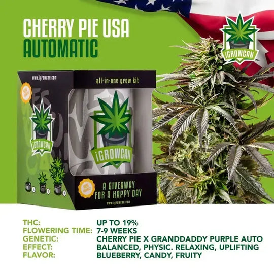 Set complet pentru cultivare: Cherry Pie USA (iGrowCan)