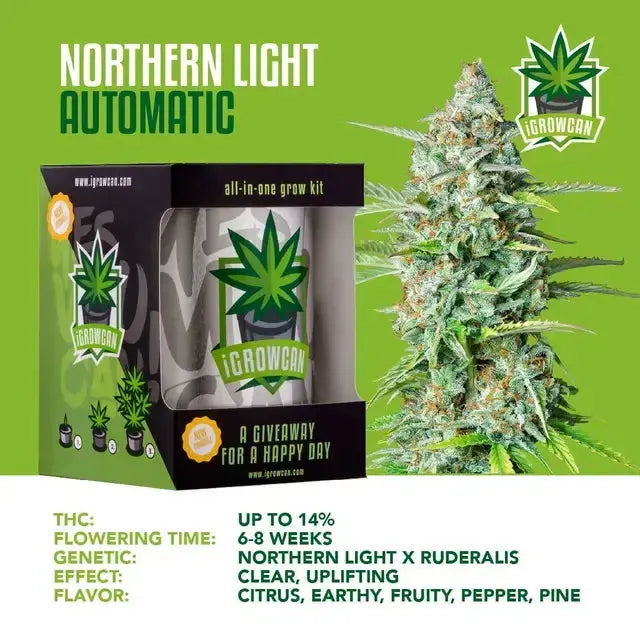 Set complet de cultivare All-in-One: Northern Light Auto (iGrowCan)