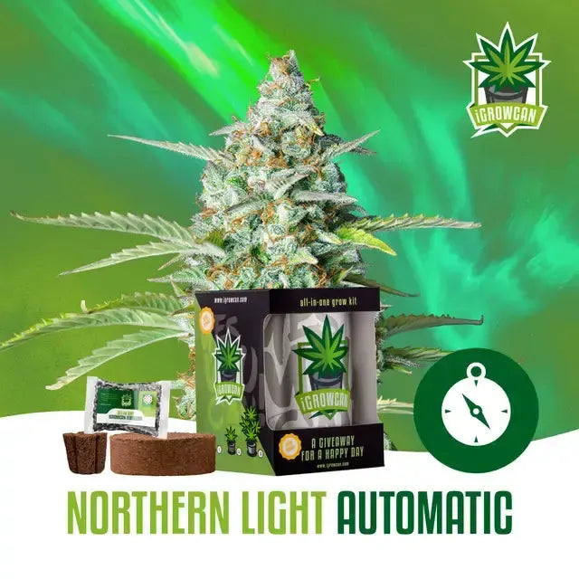 Set complet de cultivare All-in-One: Northern Light Auto (iGrowCan)