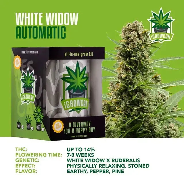 Set complet de cultivare: White Widow Auto (iGrowCan)