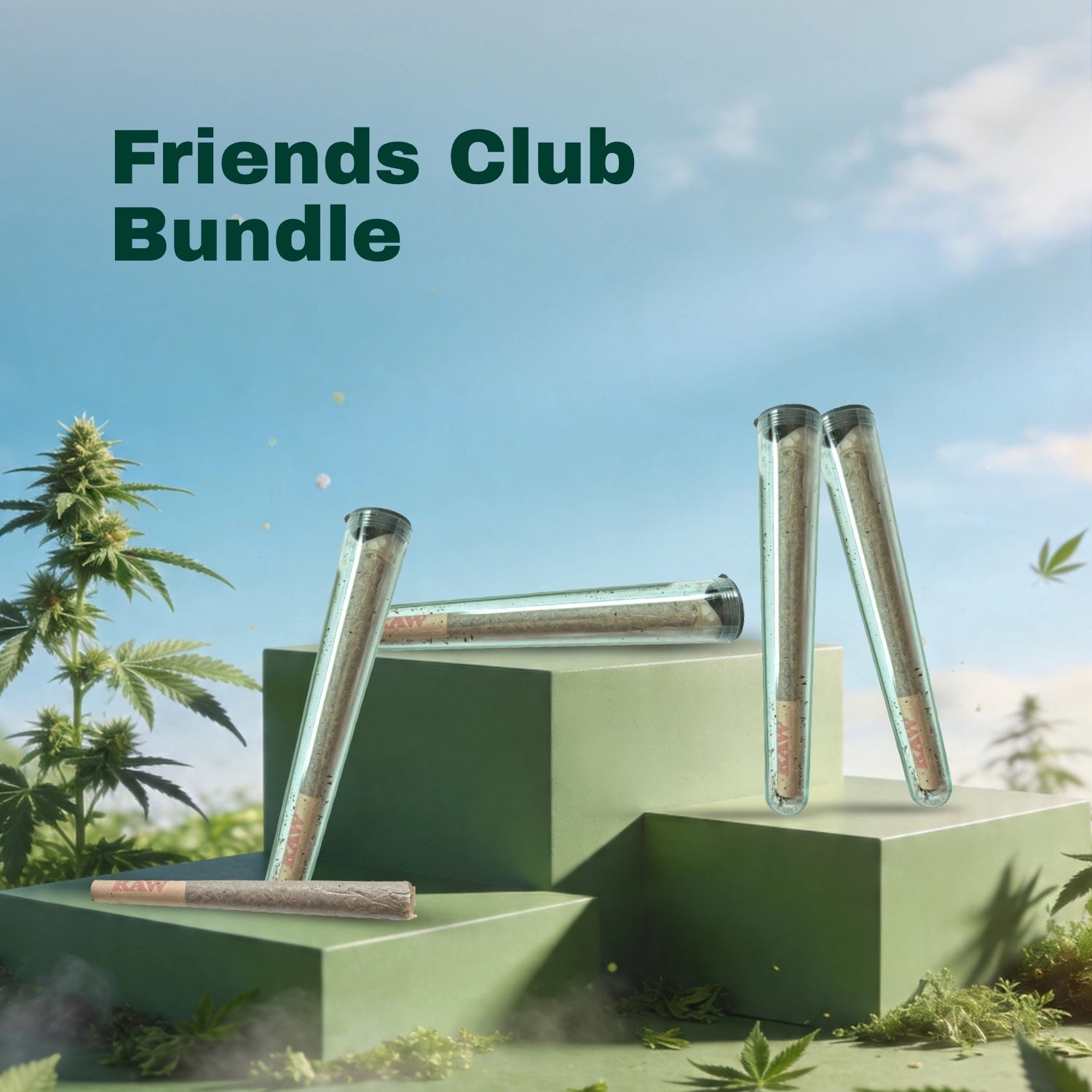Friends Club Bundle