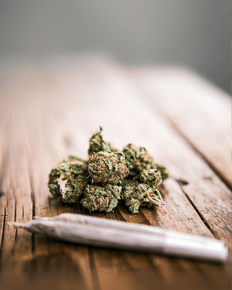 Tulpina AK 47 Conținut de THC