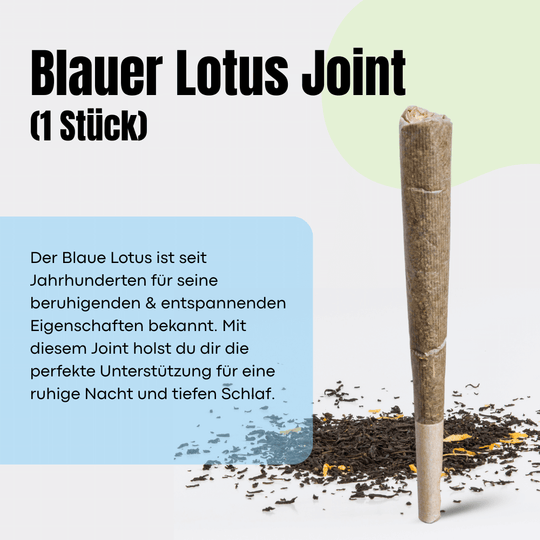 Set Somn Profund-Smagro GmbH