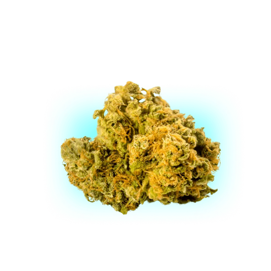 10-O Lemon Sherbet 1g 10%