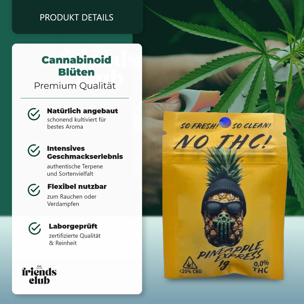 Floare CBD Pineapple Express THC Free