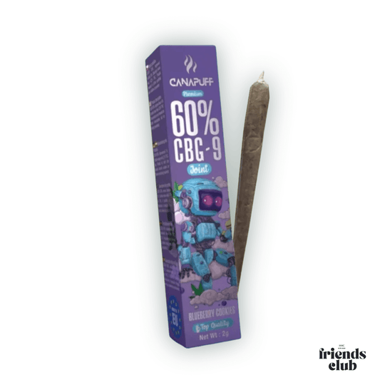Porro CBG9 Blueberry Cookies 60% 2g-Smagro GmbH