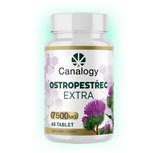 Milk Thistle Extra 90 Tablets