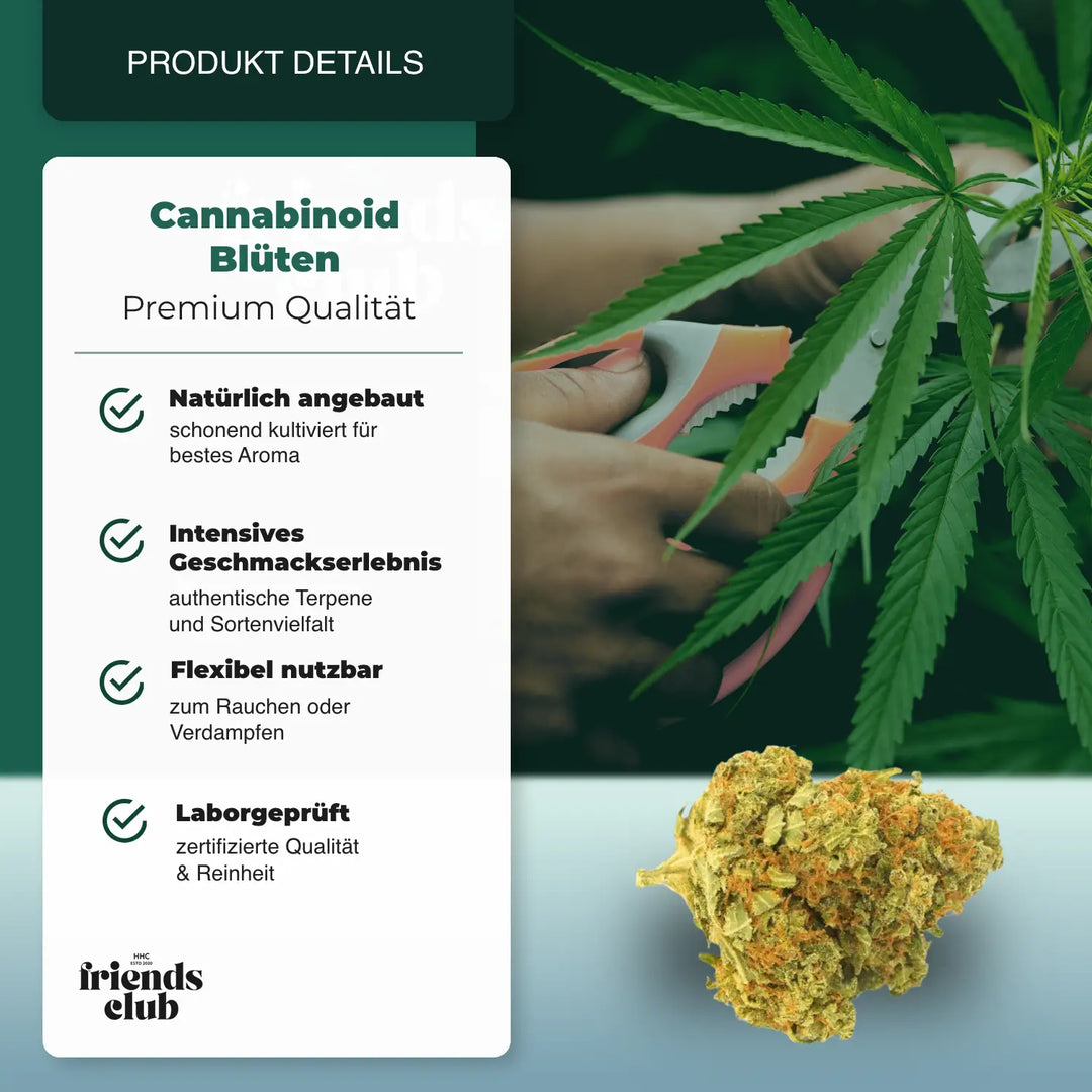 Flori CBD Gorilla Glue 1g - hhcfriends