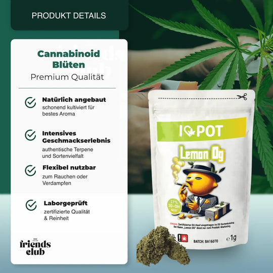10-OH-Mix Flori Lemon OG - hhcfriends