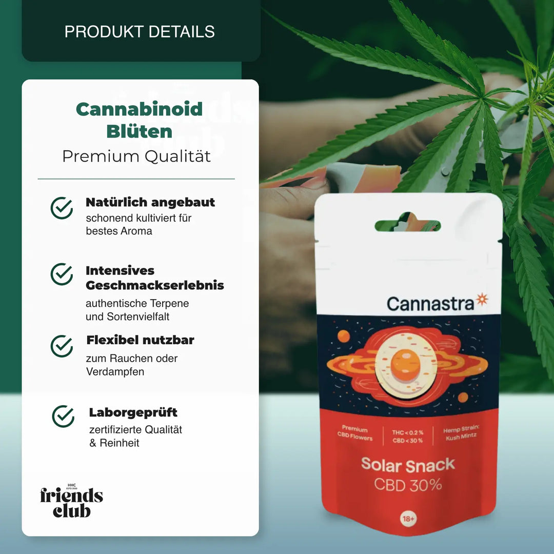 Flori CBD Solar Snack 30% - hhcfriends