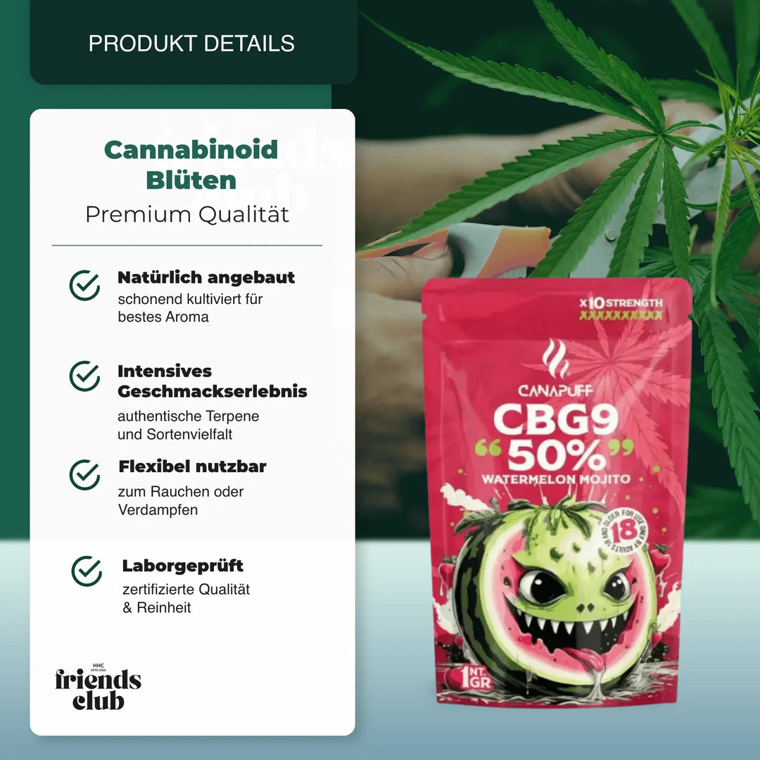 CBG9 - Mojito cu pepene verde 50% - hhcfriends