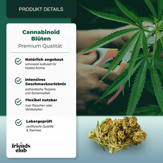 Flori PHC Plutonium 25% - hhcfriends