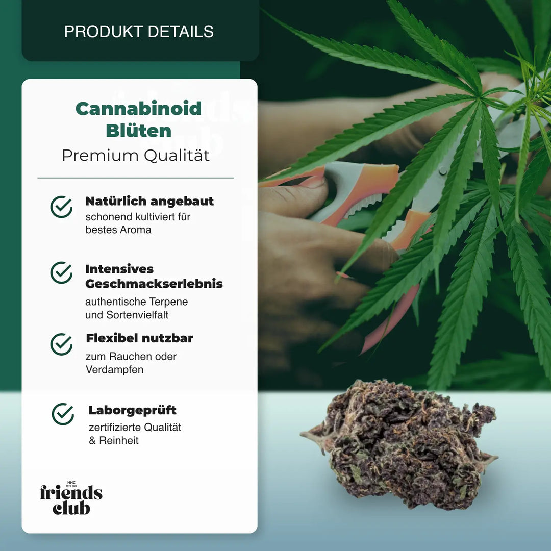 PHC Flori Purple Haze 25% - hhcfriends