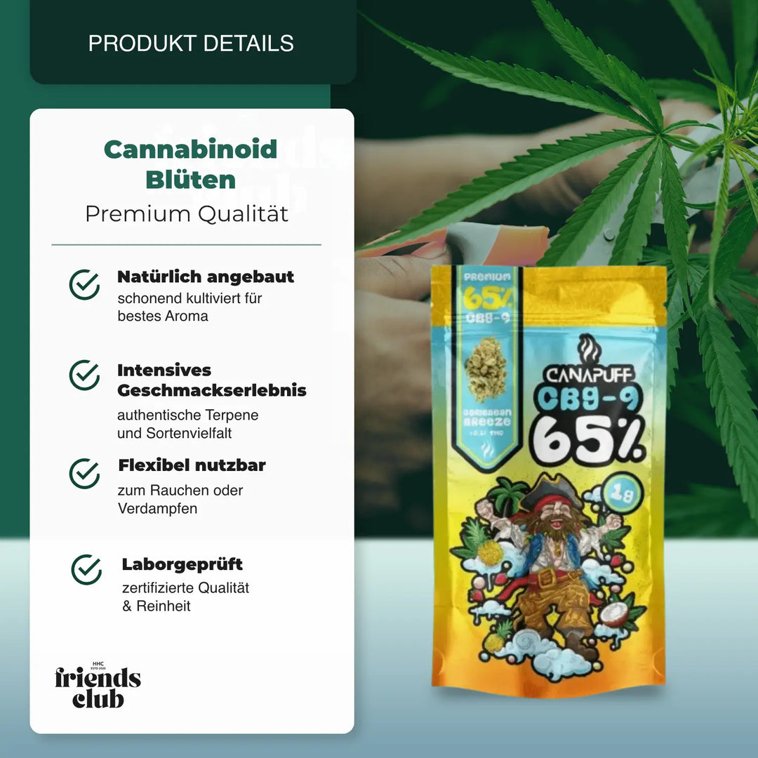 CBG9 Flori - Caribbean Breeze 65% - hhcfriends