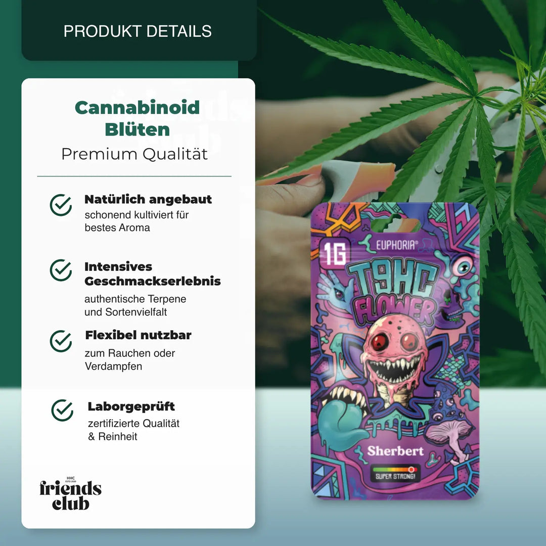T9HC Flori Sherbert (1 g) - hhcfriends