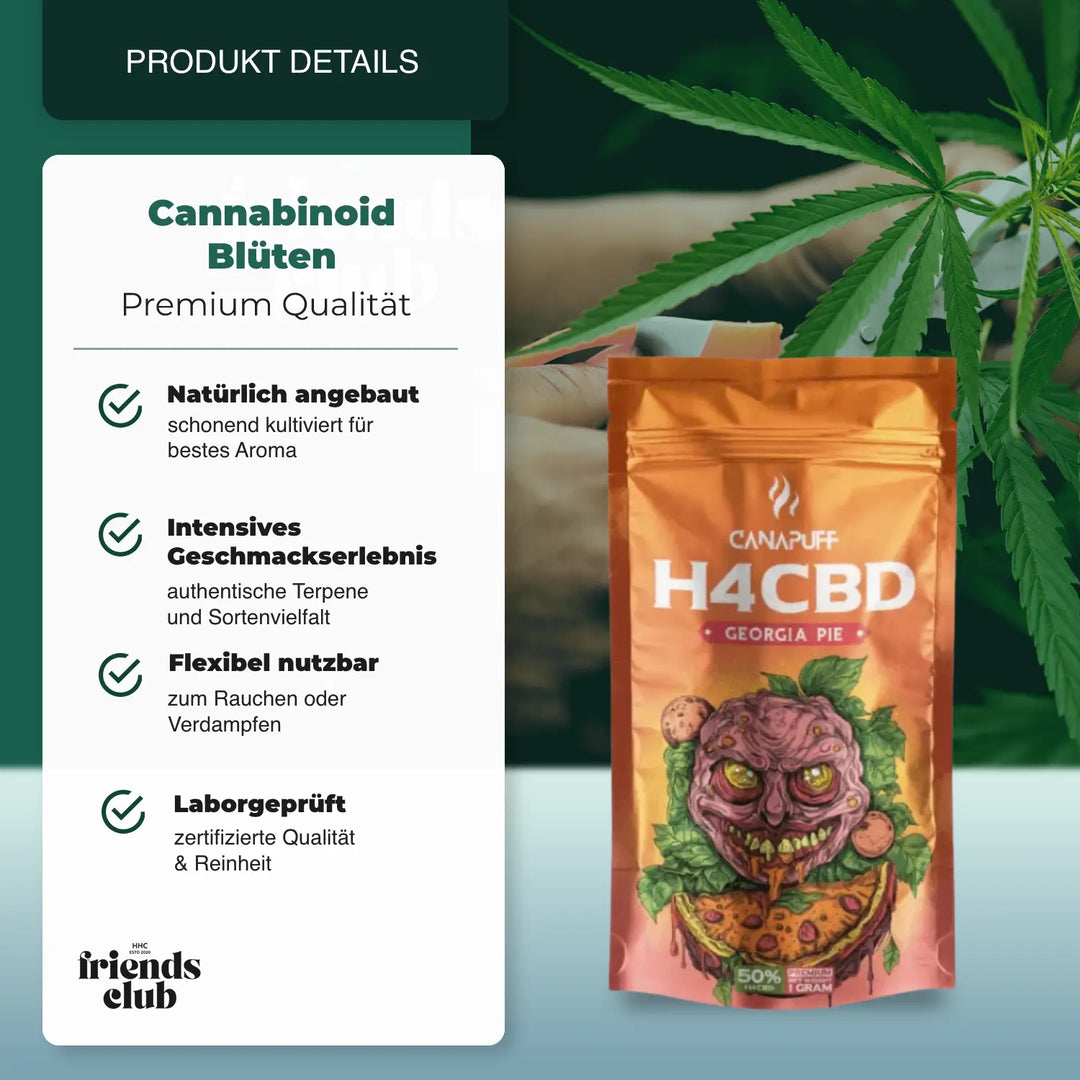 H4CBD Georgia Pie 50% - hhcfriends