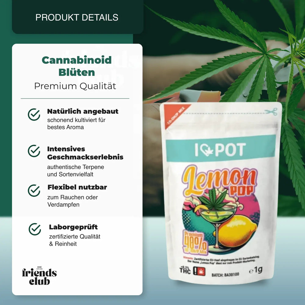 10-OH-Mix Flori Lemon Pop - hhcfriends