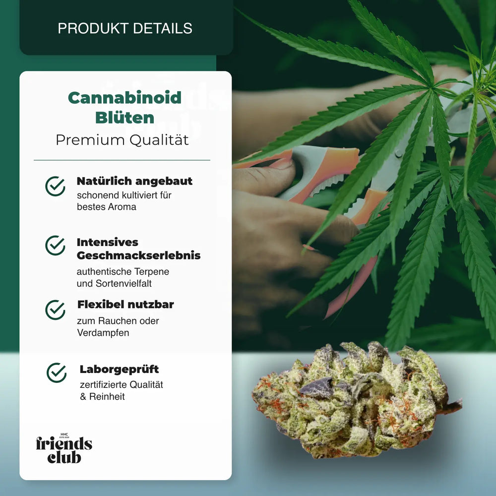 Flori CBD Purple Haze 1g - hhcfriends