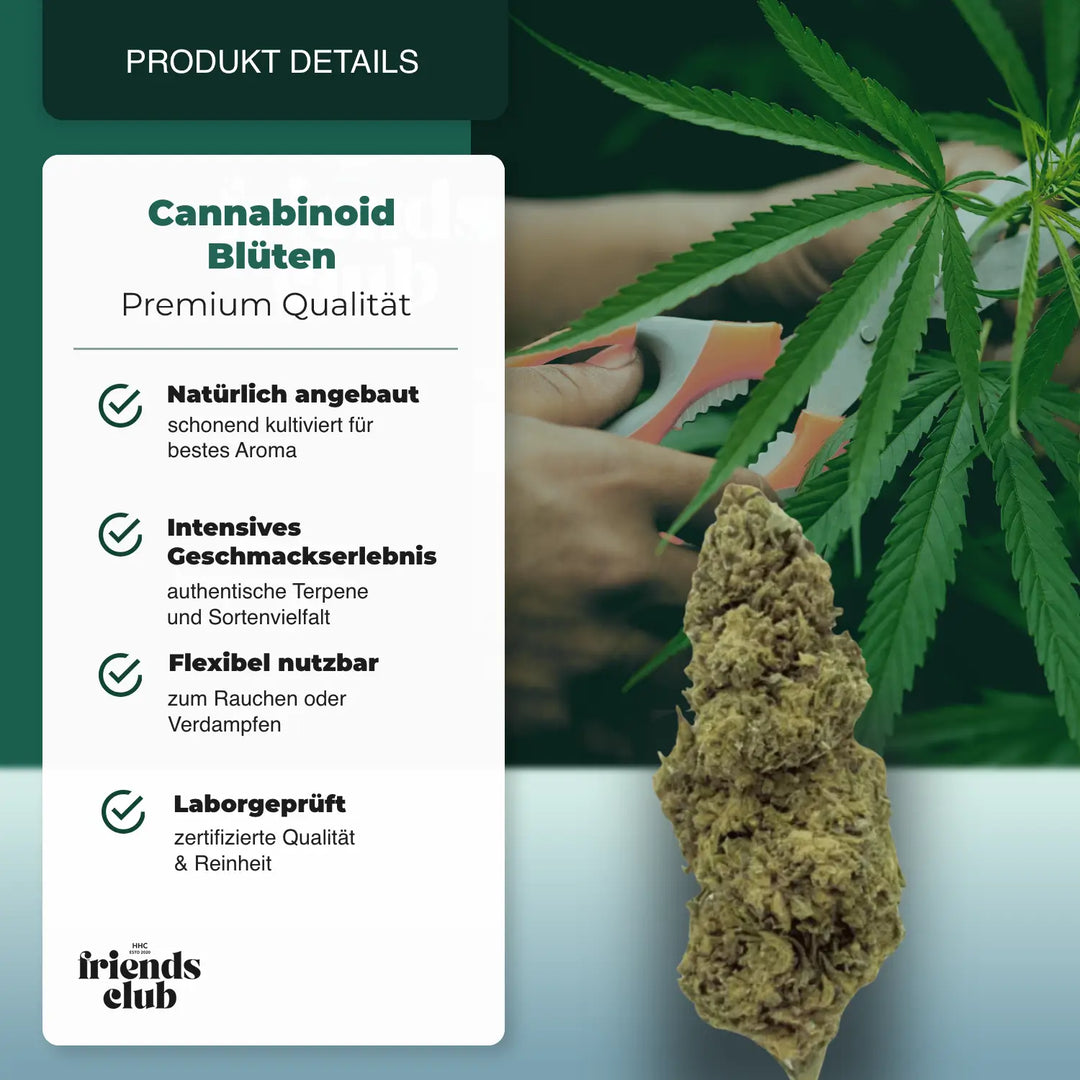 PHC Flori Cannatonic - hhcfriends