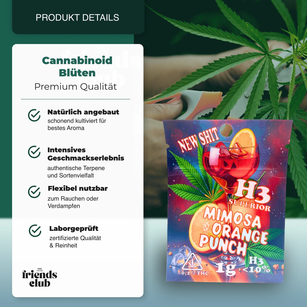 H3 Flori Mimosa Orange Punch - hhcfriends